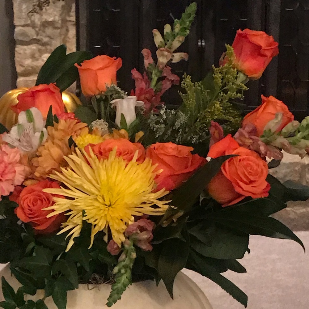 Meet your Posher, Nely